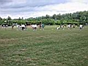kuegeles_2003 14.jpg